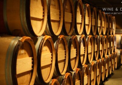 BODEGAS IN THE PENEDÈS VALLEY