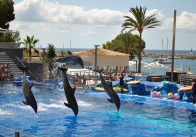 Mallorca – Marineland