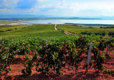 Sardinia