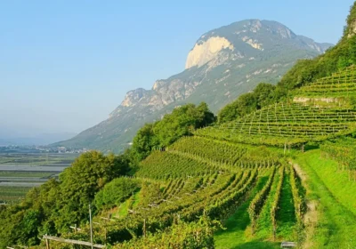 Trentino Alto Adeje