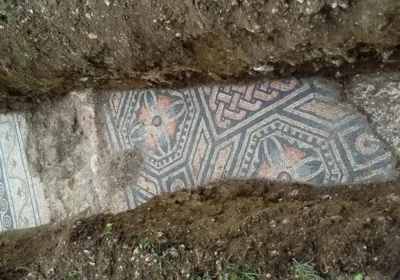 VERONA’S MOSAIC