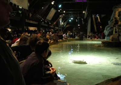 Genoa Oceanarium.