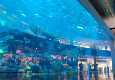 CALA GANONE AQUARIUM