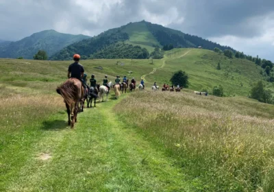 HORSE RIDING