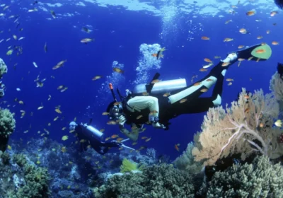 DIVING
