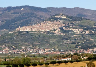 CORTONA