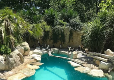PISTOIA ZOO