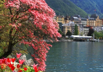 SWISS RIVIERA