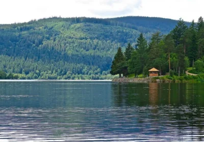 SCHWARTZWALD – TITIZEE – FRAIBURG (Switzerland – Germany)