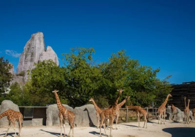 Zoos and aquariums
