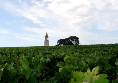 Wine estates