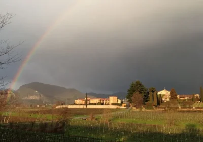 Lombardy