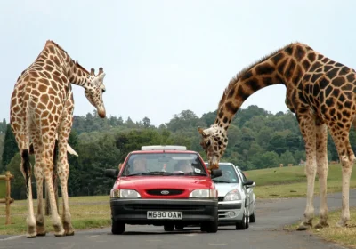 NATURA VIVA PARK