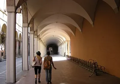 BOLOGNA – “SCHOLAR”