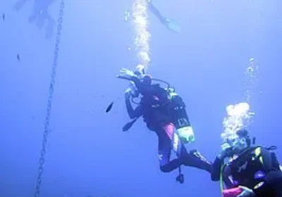 Diving off the Ligurian coast