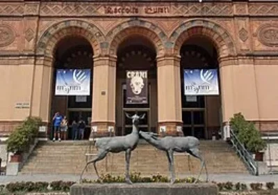 NATURAL HISTORY MUSEUM