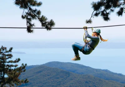 Jungle Adventure Park
