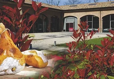 Enogastronomic tours in Parma