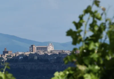 Enogastronomic tours (Orvieto and Assisi)