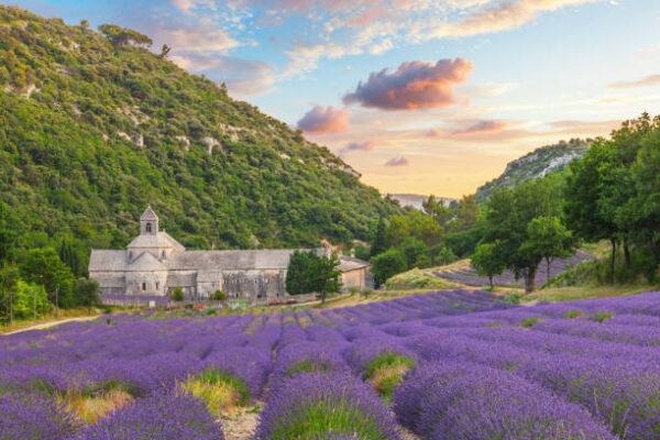 Traveling through Provence