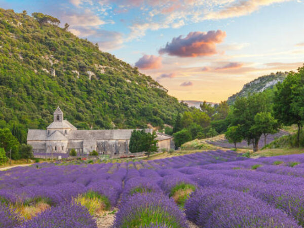 Traveling through Provence