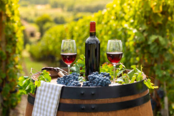 Southwest France Wine and Food Tour