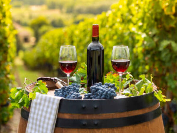 Southwest France Wine and Food Tour