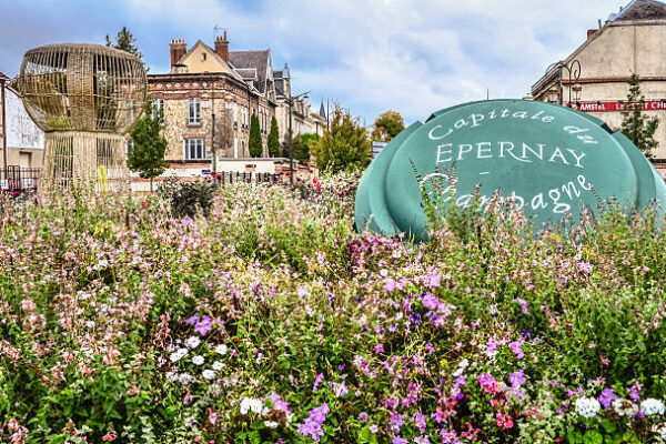 Champagne, Burgundy, Rhône-Alpes – the heart of France