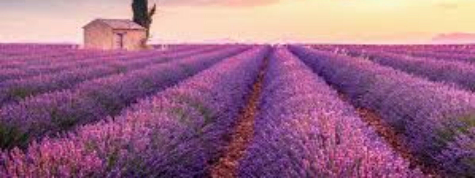 Provence
