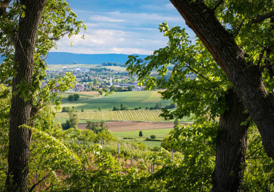 Excursion to Burgenland
